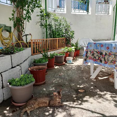 Trikeri Traditional Cozy House المظهر الخارجي الصورة