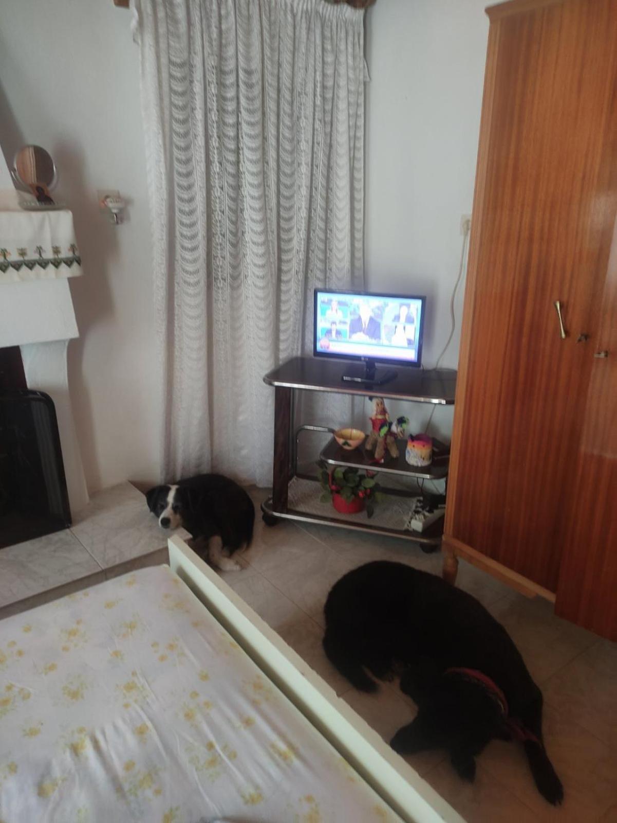 Trikeri Traditional Cozy House المظهر الخارجي الصورة