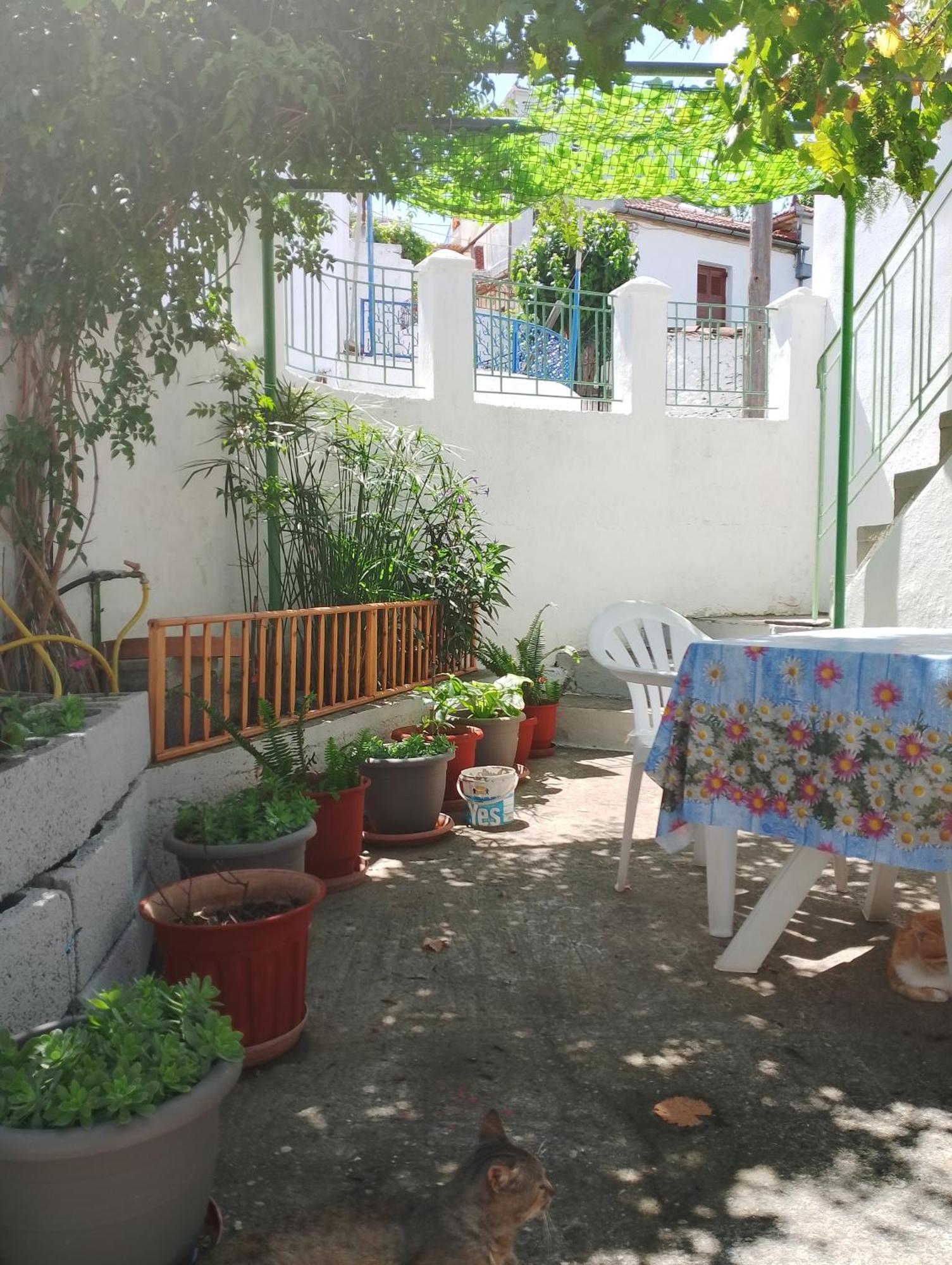 Trikeri Traditional Cozy House المظهر الخارجي الصورة